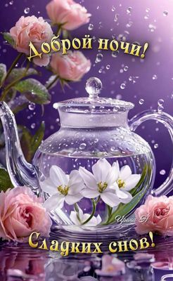 Открытка «Доброй ночи»: Доброй ночи: Волшебный чайник с цветами.
