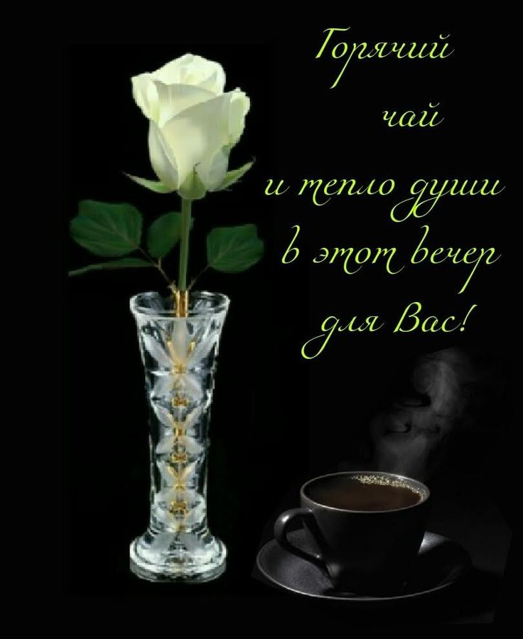 Открытка «Добрый вечер и пожелания»: Добрый вечер: горячий чай и белая роза. Тэги: Добрый вечер красивые, Добрый вечер…