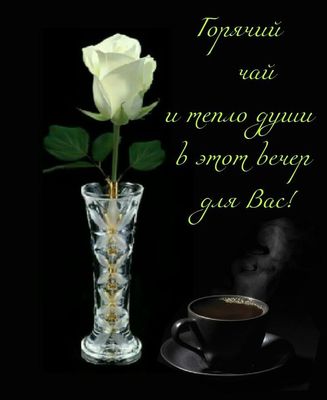 Открытка «Добрый вечер и пожелания»: Добрый вечер: горячий чай и белая роза. Тэги: Добрый вечер красивые, Добрый вечер…