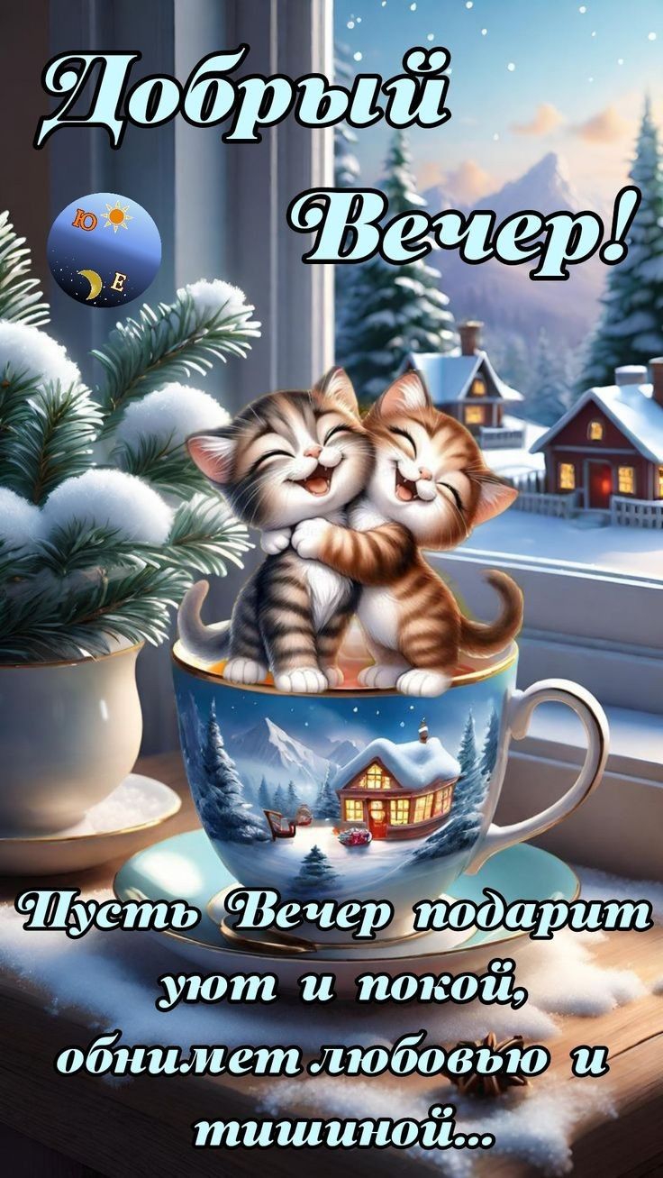 Открытка «Добрый вечер и пожелания»: Добрый вечер: милая открытка «Котята в чашке». Тэги: Добрый зимний вечер, Добрый…
