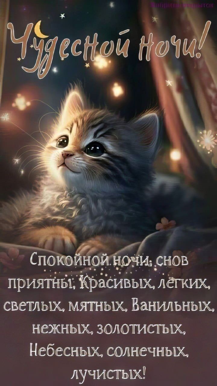 Открытка «Спокойной ночи»: Спокойной ночи: милый кот желает сладких снов. Тэги: пожелание, кот, милый, нежный, чудесн…