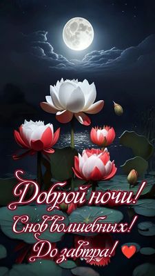 Открытка «Доброй ночи»: Доброй ночи: Лунные кувшинки и сладкие сны.