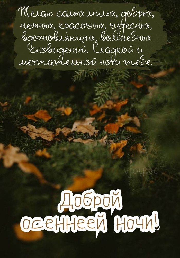 Открытка «Доброй ночи»: Доброй осенней ночи: Волшебных сновидений.