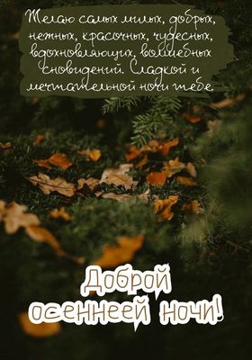 Открытка «Доброй ночи»: Доброй осенней ночи: Волшебных сновидений.