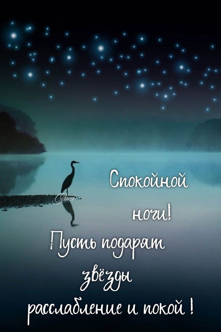 Открытка «Спокойной ночи»: Спокойной ночи: Звёздное небо и одинокая цапля. Тэги: милый, птица, красивый, нежный, отдых…