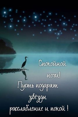Открытка «Спокойной ночи»: Спокойной ночи: Звёздное небо и одинокая цапля. Тэги: цапля, Спокойной ночи, красивые…