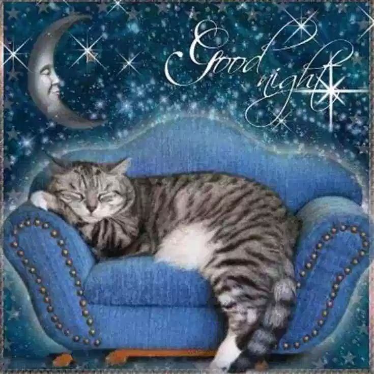 Открытка «Спокойной ночи»: Спокойной ночи: милый кот спит на синем диване. Тэги: Спокойной ночи, красивые, Спокойной…