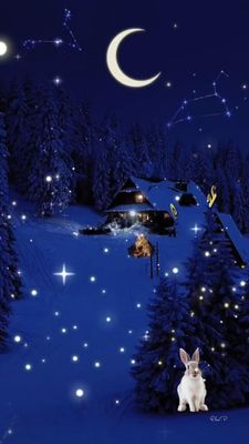 Открытка «Добрый вечер и пожелания»: Доброй ночи: Волшебный зимний вечер и милый заяц. Тэги: Добрый зимний вечер…