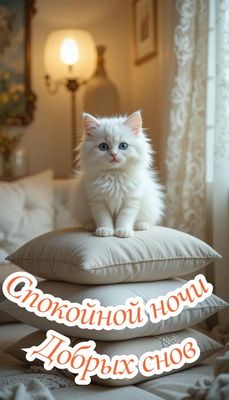 Открытка «Спокойной ночи»: Спокойной ночи: Милый белый котенок на подушках. Тэги: Спокойной ночи, красивые, Спокойной…