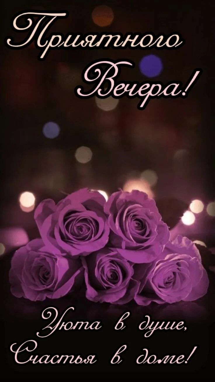 Открытка «Добрый вечер и пожелания»: Добрый вечер: «Приятного вечера!» с лиловыми розами. Тэги: Добрый вечер красивые…