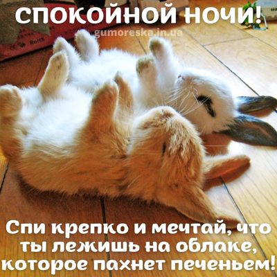 Открытка «Спокойной ночи»: Открытка «Спокойной ночи» с милыми кроликами. Тэги: Спокойной ночи, с пожеланиями, Спокойн…