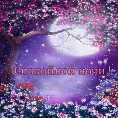 Открытка «Спокойной ночи»: Спокойной ночи под цветущей сакурой и лунным светом. Тэги: Спокойной ночи, красивые…