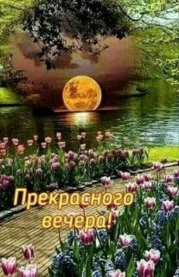 Открытка «Добрый вечер и пожелания»: Пожелание прекрасного вечера: цветы и луна. Тэги: Добрый вечер красивые, Добрый…