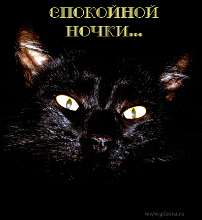 Открытка «Спокойной ночи»: Спокойной ночи: магический взгляд черного кота. Тэги: кот, надпись, животное, глаз, ночь…
