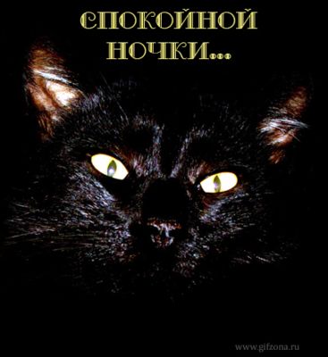 Открытка «Спокойной ночи»: Спокойной ночи: магический взгляд черного кота. Тэги: Спокойной ночи, с надписями, Спокойн…