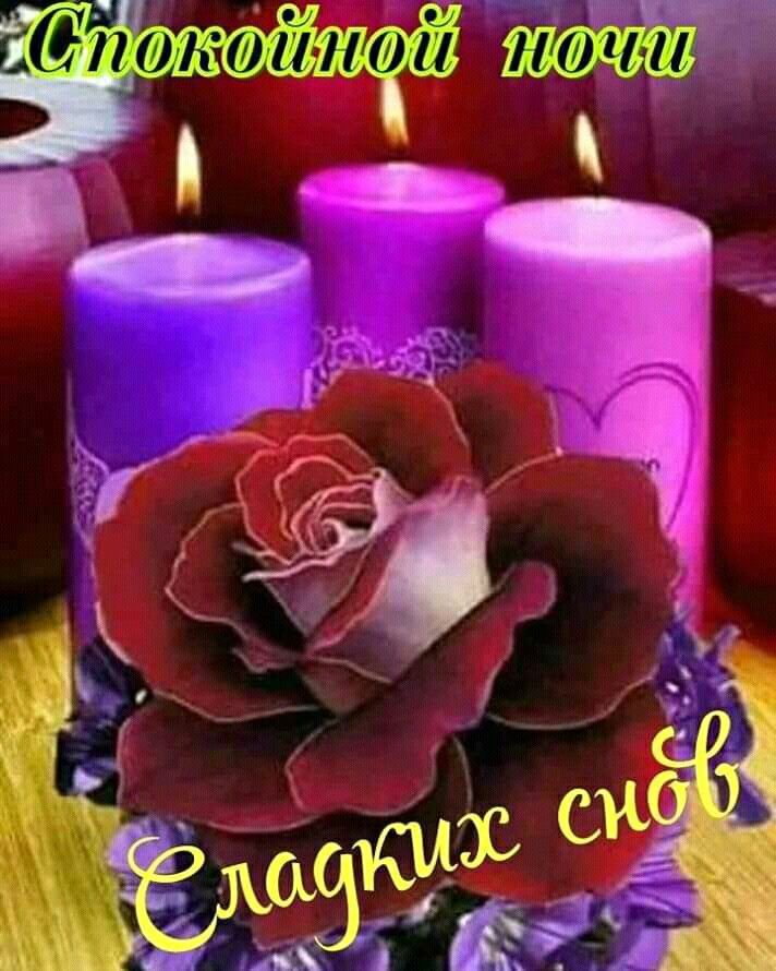 Открытка «Спокойной ночи»: Спокойной ночи: Сладких снов с розой и свечами. Тэги: пожелание, сердце, нежный, роза…