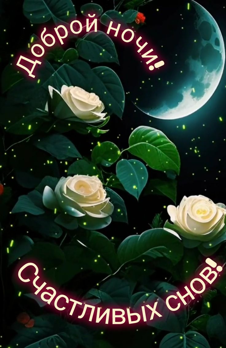 Открытка «Доброй ночи»: Доброй ночи: «Белые розы на фоне луны».