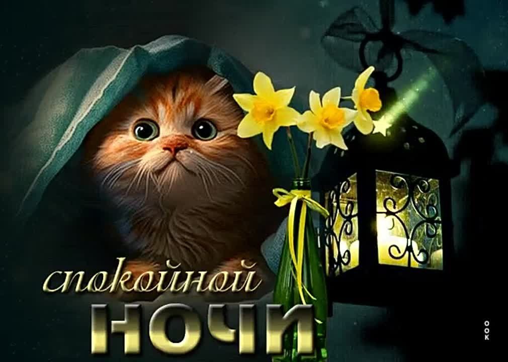 Открытка «Спокойной ночи»: Спокойной ночи: милый кот и свет фонаря. Тэги: Спокойной ночи, красивые, Спокойной ночи…