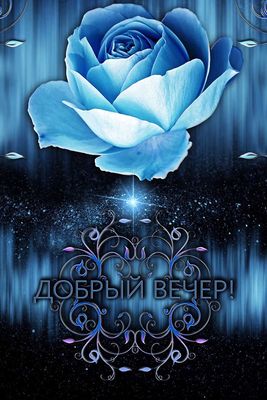 Открытка «Добрый вечер и пожелания»: Добрый вечер: Открытка с синей розой и узорами. Тэги: Добрый вечер красивые…