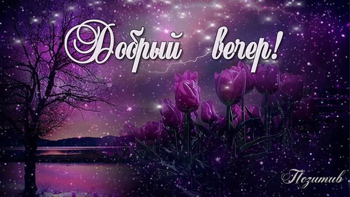 Открытка «Добрый вечер и пожелания»: Открытка Добрый вечер: фиолетовые тюльпаны и гроза. Тэги: Добрый вечер красивые…