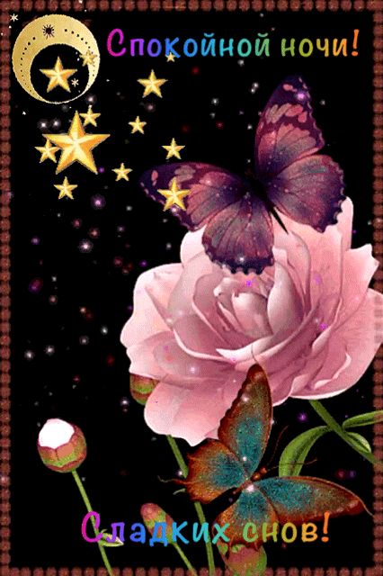 Открытка «Спокойной ночи»: Спокойной ночи: милая открытка с розой и бабочкой. Тэги: Спокойной ночи, красивые, Спокойн…