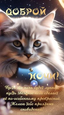 Открытка «Доброй ночи»: Доброй ночи: «Милый кот» с волшебным шаром.