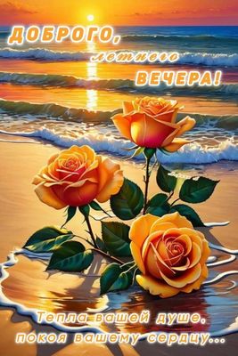 Открытка «Добрый вечер и пожелания»: Добрый вечер: нежные желтые розы на фоне морского заката. Тэги: Добрый вечер кра…