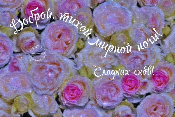 Открытка «Доброй ночи»: Доброй ночи: «Нежный букет роз» пожелание.