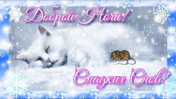 Открытка «Доброй ночи»: Доброй ночи: Спящий белый кот и мышка.