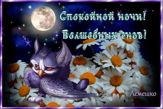 Открытка «Спокойной ночи»: Спокойной ночи: Милая сова под полной луной среди ромашек. Тэги: Спокойной ночи, с пожелан…