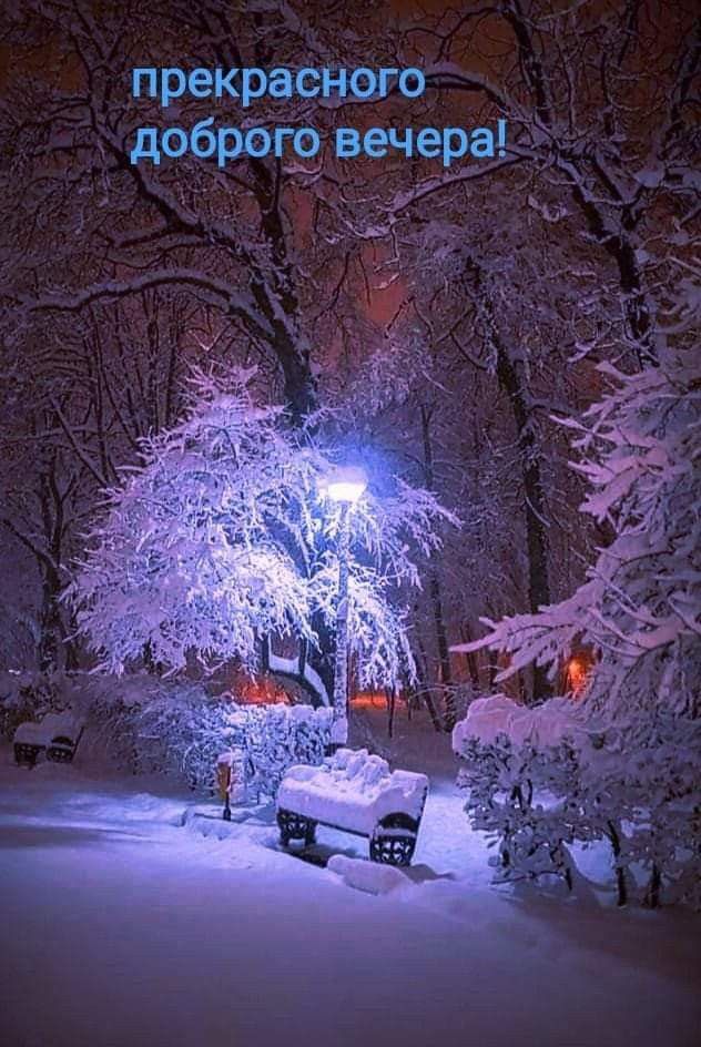 Открытка «Добрый вечер и пожелания»: Прекрасного доброго вечера: зимний парк. Тэги: Добрый зимний вечер, Добрый вечер…