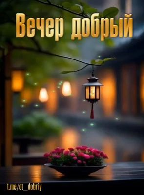 Открытка «Добрый вечер и пожелания»: Красивая открытка «Вечер добрый» с фонариком. Тэги: Добрый вечер красивые…