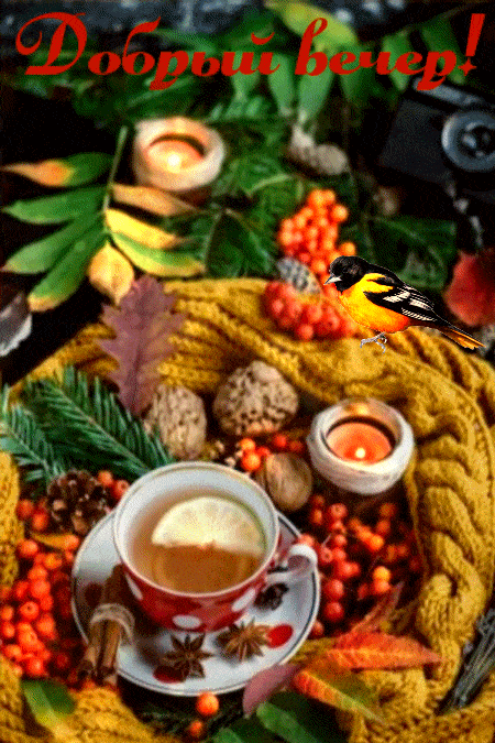 Открытка «Добрый вечер и пожелания»: Вечерняя открытка: чай с лимоном и пожелание. Тэги: Добрый вечер красивые…