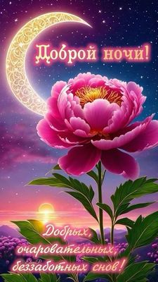 Открытка «Доброй ночи»: Доброй ночи: «Очаровательные сны» и розовый пион.