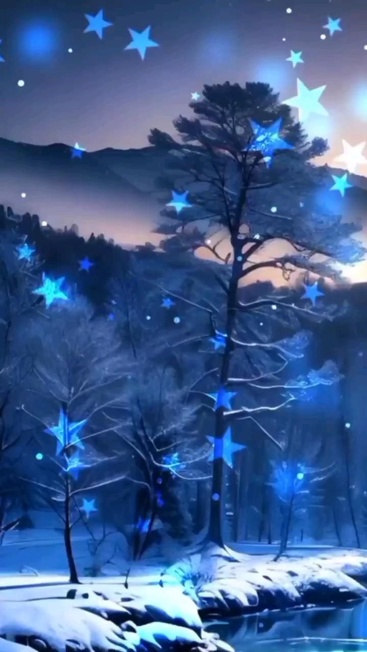 Открытка «Доброй ночи»: Доброй ночи: «Звездная ночь» в зимнем лесу. Тэги: Спокойной ночи, Спокойной ночи, красивые…