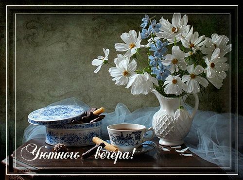 Открытка «Добрый вечер и пожелания»: Уютного вечера: красивая открытка с цветами и чаем. Тэги: Добрый вечер красивые…