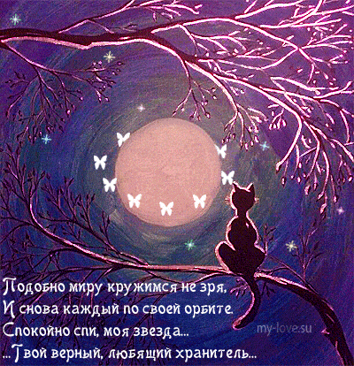 Открытка «Доброй ночи»: Доброй ночи: «Спокойно спи, моя звезда». Тэги: пожелание, кот, милый, любовь, звезда, спокойн…