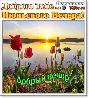 Открытка «Добрый вечер и пожелания»: Добрый вечер: Красивое пожелание с тюльпанами. Тэги: Добрый вечер красивые…