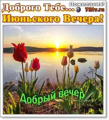 Открытка «Добрый вечер и пожелания»: Добрый вечер: Красивое пожелание с тюльпанами. Тэги: Добрый вечер красивые…