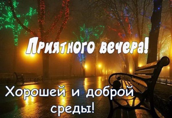 Открытка «Туманный»: Приятного вечера: «Волшебная среда» в парке. Тэги: дождливый, Добрый вечер и пожелания, Добрый з…