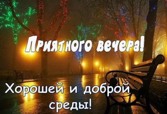 Открытка «Туманный»: Приятного вечера: «Волшебная среда» в парке. Тэги: дождливый, Добрый вечер и пожелания, Добрый з…