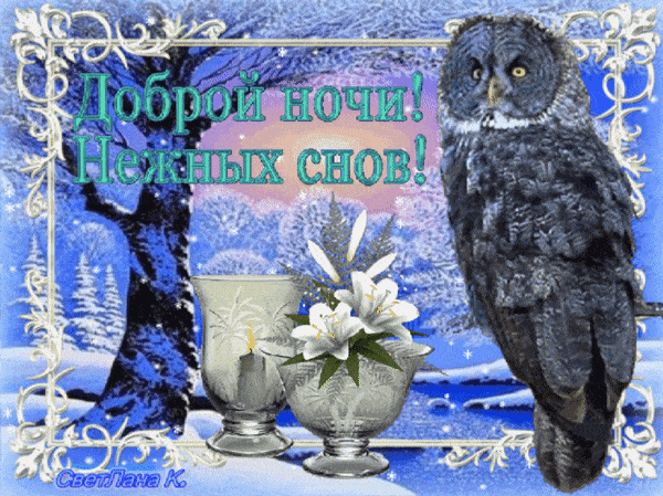 Открытка «Доброй ночи»: Доброй ночи: Зимний пейзаж с совой и свечами.