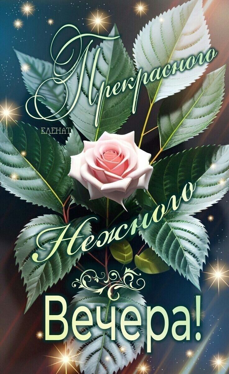 Открытка «Добрый вечер и пожелания»: Открытка Добрый вечер с розой и пожеланием. Тэги: Добрый вечер красивые, Добрый…