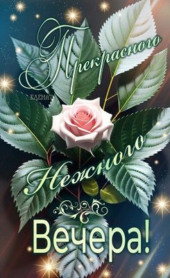Открытка «Добрый вечер и пожелания»: Открытка Добрый вечер с розой и пожеланием. Тэги: Добрый вечер красивые, Добрый…