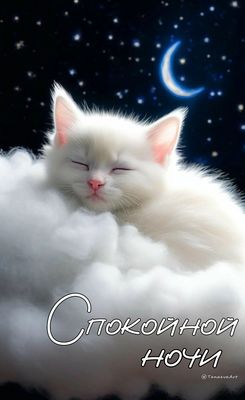 Открытка «Спокойной ночи»: Спокойной ночи: Открытка с милым котенком на облаке. Тэги: Спокойной ночи и добрых снов…