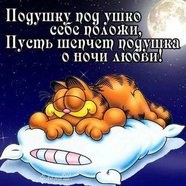 Открытка «Доброй ночи»: Доброй ночи: спящий кот и луна.