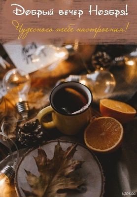Открытка «Добрый вечер и пожелания»: Добрый вечер Ноября: Тёплое пожелание уюта. Тэги: Доброго, прекрасного вечера…