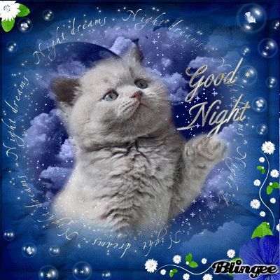 Открытка «Доброй ночи»: Доброй ночи: милый котенок на облаках. Тэги: английский