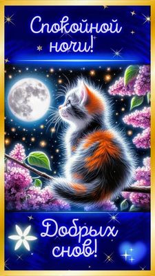 Открытка «Спокойной ночи»: Спокойной ночи: Милый котенок на луне. Тэги: Спокойной ночи, с пожеланиями, Спокойной ночи…