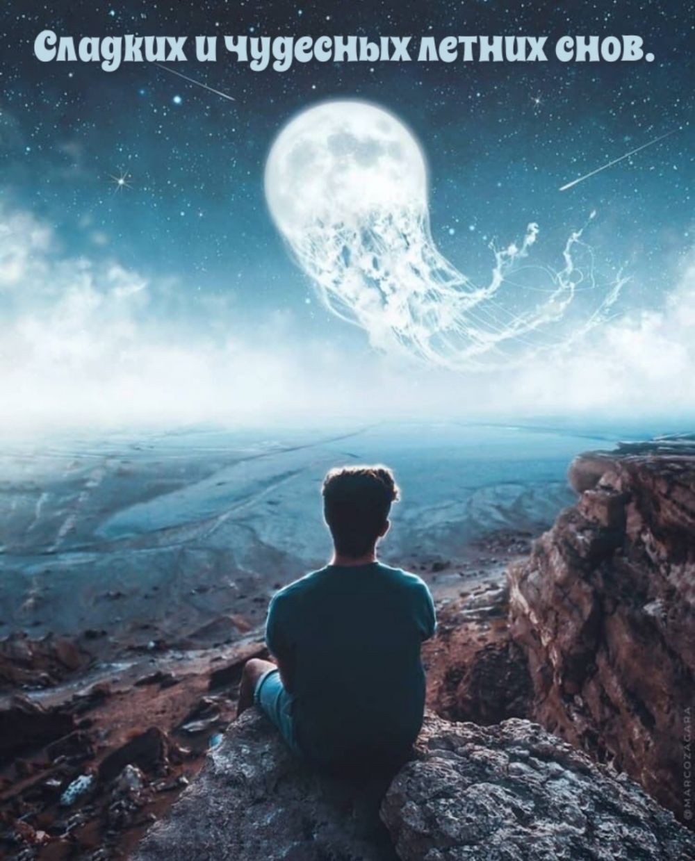 Открытка «Доброй ночи»: Доброй ночи: Сладких летних снов. Тэги: медуза